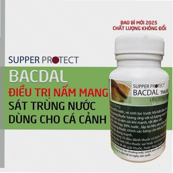 Thuốc đặc trị bệnh nấm mang cá Koi, phòng bệnh nấm mang cá Koi hiệu quả cao