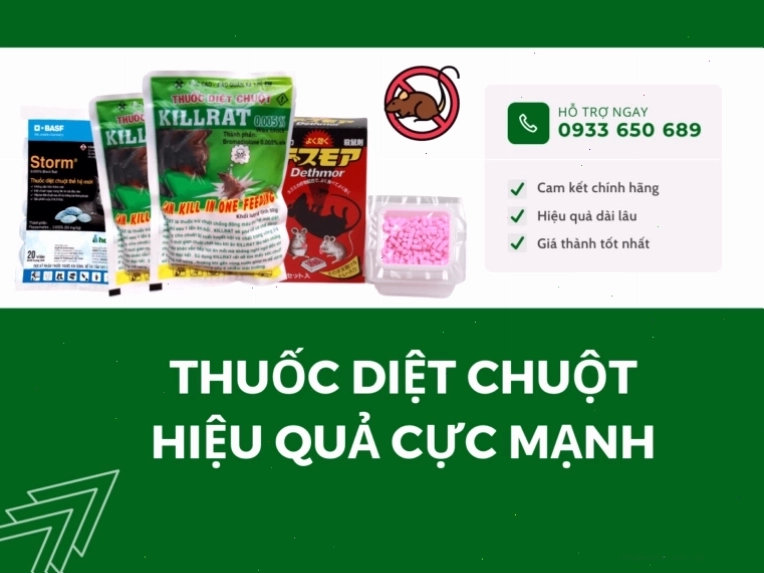 Top 3 thuốc diệt chuột sinh học hiệu quả, giá tốt