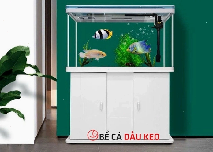 Vẻ đẹp của bể cá cảnh đúc nguyên khối
