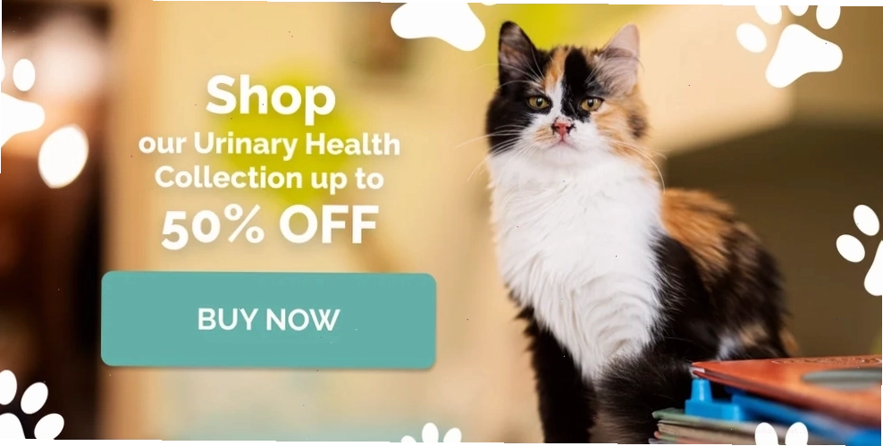 Infographic showing natural remedies for cat urinary tract infections