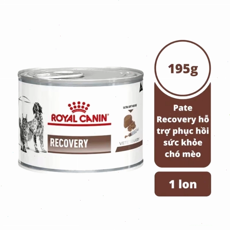 Pate phục hồi sức khỏe Royal Canin Recovery cho chó Bulldog