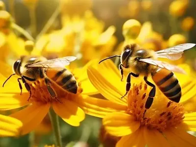 Ảnh con ong lấy mật nghệ thuật thu hút giới nhiếp ảnh