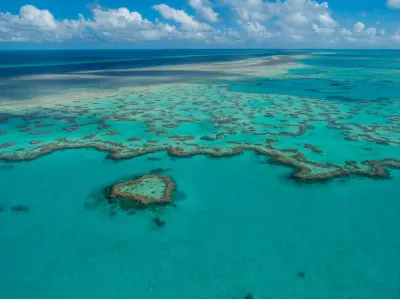 Top hình ảnh rạn san hô Great Barrier đẹp nhất hành tinh