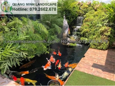 Cá Koi Nhật Nhập Khẩu: Yếu Tố Ảnh Hưởng Giá và Lưu Ý Khi Chọn