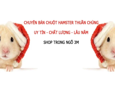 Cách Nuôi Chuột Con Chưa Mở Mắt Chuẩn Theo Chuyên Gia Thú Y