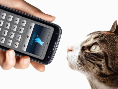 Giải Mã Tiếng Mèo Kêu: Công Cụ Phiên Dịch Cho iPhone Năm 2026