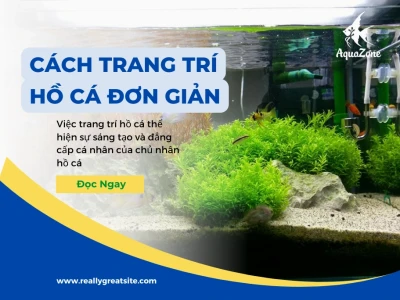 Hồ Nuôi Cá Cảnh: Hướng Dẫn Chọn Lọc và Vệ Sinh Nước Hiệu Quả Năm 2026