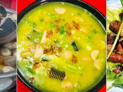 Rắn đẻn nước ngọt Cà Mau: Đặc sản miền sông nước và cách chế biến hấp dẫn