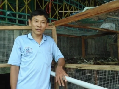 Rắn hổ long: Khám phá loài rắn chúa oai hùng của rừng Tam Đảo