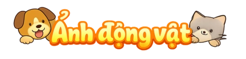 Logo anhdongvat.edu.vn
